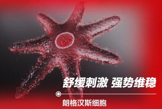 cr 官方，下同