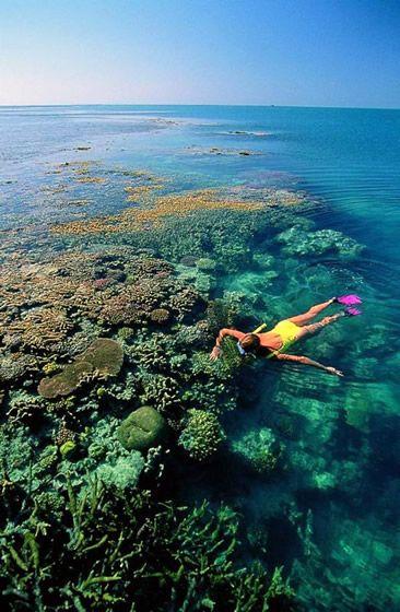 大堡礁浮潜 图片来源自PinterestCherie Velez