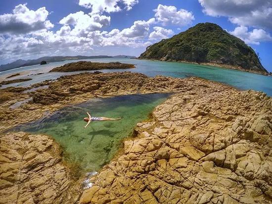 (图片来源@marine_life_kayaker)