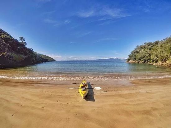 (图片来源@marine_life_kayaker)