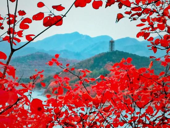 11月来了 有机会一定要去一次北京