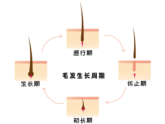 cr:视觉中国,canva制作