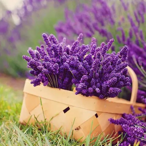 图源：视觉中国