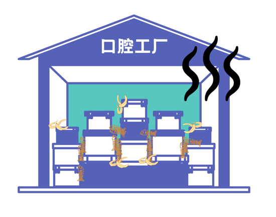 口腔cr什么意思不想“老掉牙”？那这些关键点要从现在抓起啦！_https://www.jmylbn.com_新闻资讯_第13张