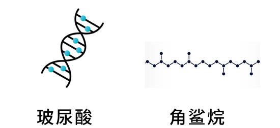 右图来源视觉中国，制作源于canva