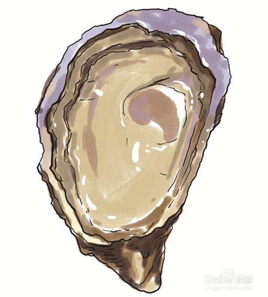 关于生蚝你该知道的8件事情