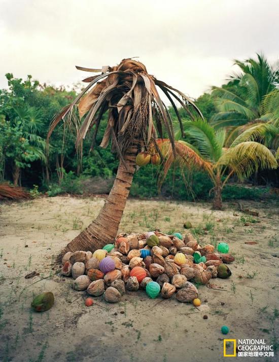 多彩的垃圾装置艺术是惊奇还是惊骇