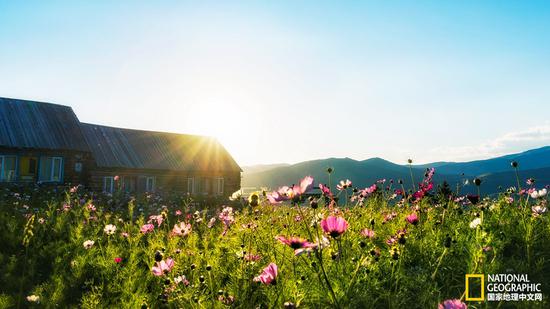 白哈巴的日落，那些小木屋和花园连成一片，阳光花香蔓延全世界。