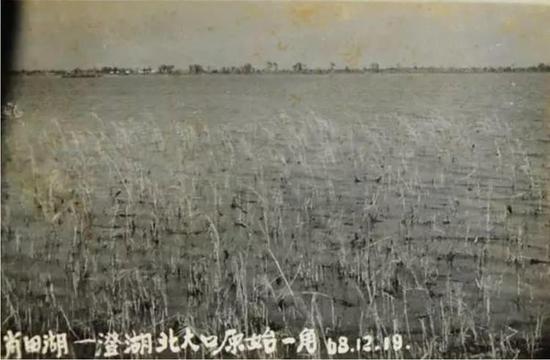 同里老照片，1968 年的肖甸湖，沼泽是片“禁区”