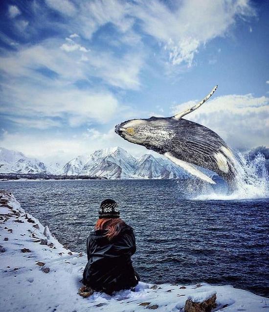 在纳克港的冰川看鲸鱼 图片来源自instagram.com