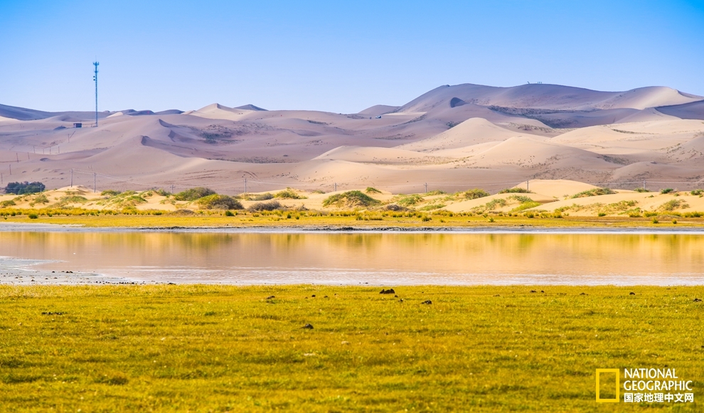 草滩、湖泊、沙丘，构成一幅静谧的沙漠秋色图。