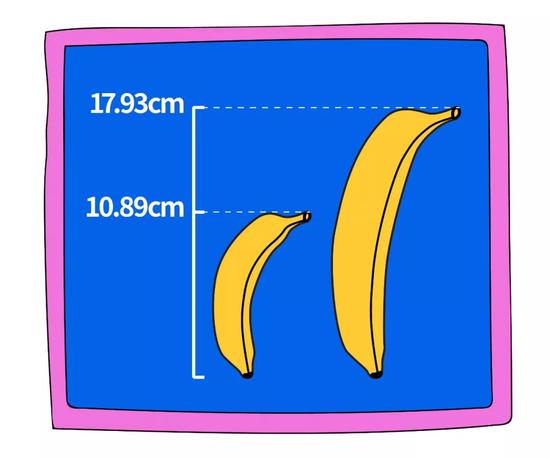 中国男性jj平均长度显示为10.89cm
