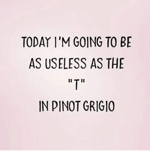 我今天打算像“Pinot Grigio”里的“T”一样没用（图片来源：Me）