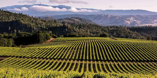 图片来源:Visit California