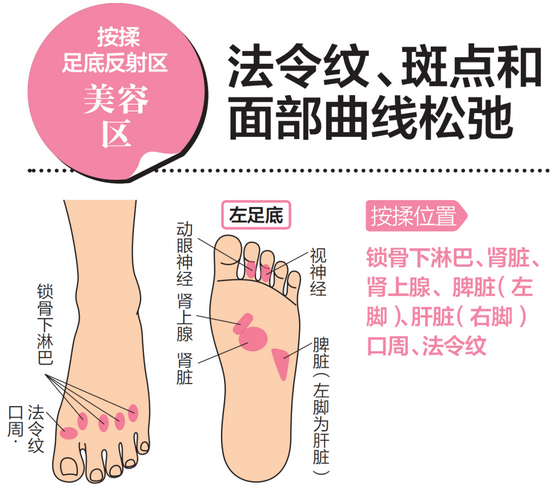 抗老化的足底反射区缓解面部衰老信号 手机新浪网 抗老化的足底反射区缓解面部衰老信号 手机新浪网