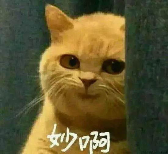 这条新闻已经过证实,并不是网友的恶搞。