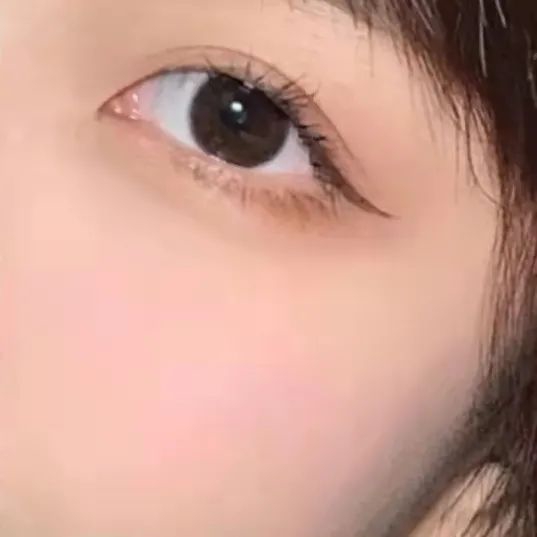 图源小红书@一只小海豚儿