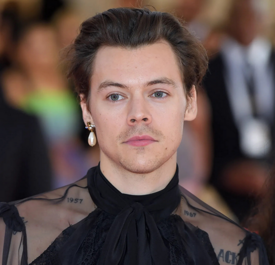 英国歌手Harry Styles