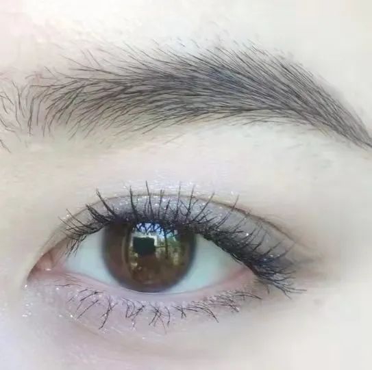 图源小红书@鱼Lotus_