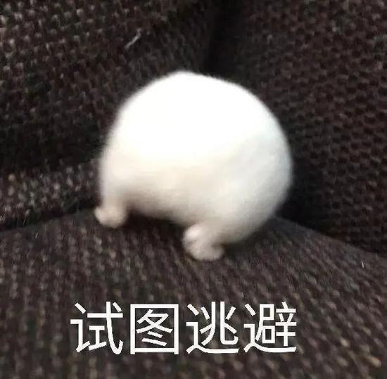 虞书欣除了声带模仿 还真实还原昆凌款“印第安纹”?