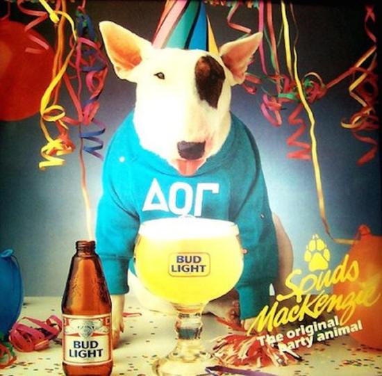 百威淡啤刚上市时的品牌形象“派对动物”Spuds McKenzie（图片来源：Mental Floss）