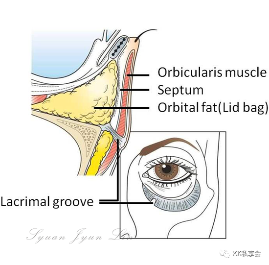 图片源自于网络