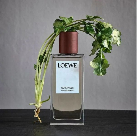 Loewe的芫荽香调居家香氛