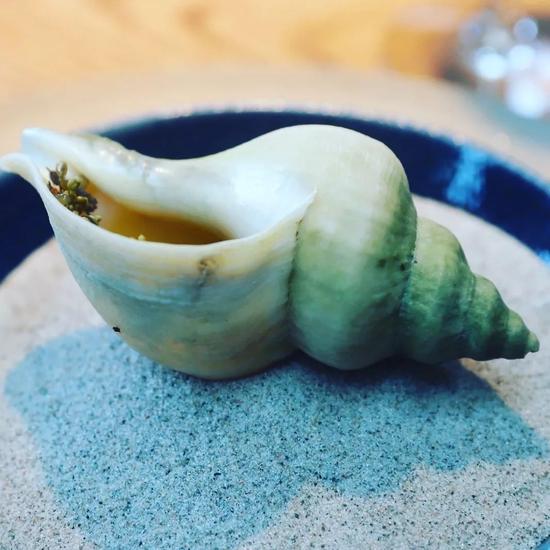 前菜：海蜗牛肉汤配腌制夏季香草汁