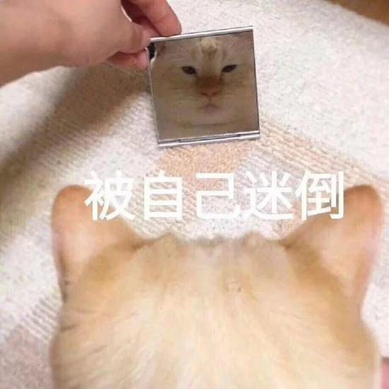 防晒衣到底有什么魔力 杨幂没有它都不敢出门