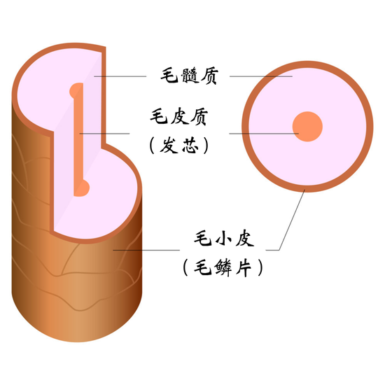 图源图虫，制作canva