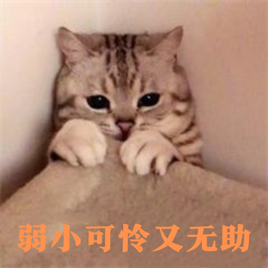 文字来源于canva