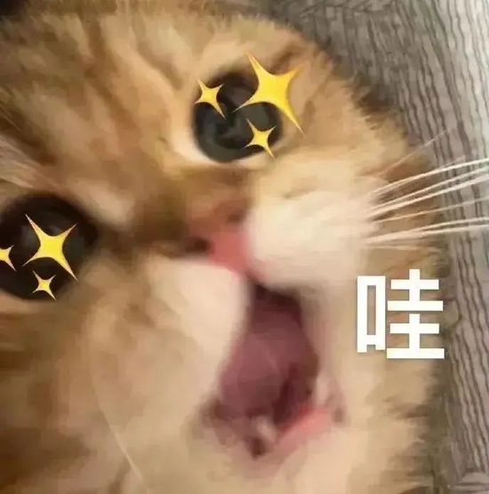 gtcasino com