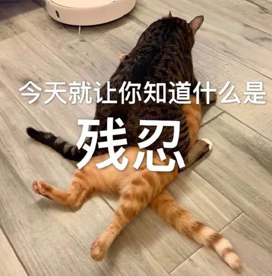 全网夸的养肤粉底液 真的能起到正常护肤品的作用吗?