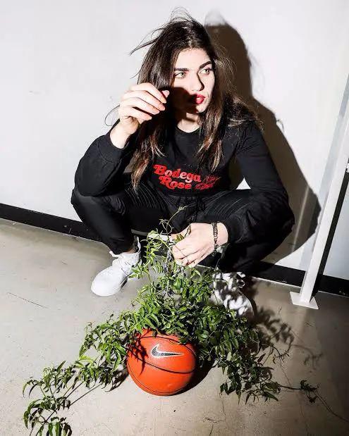 2020男生喜欢球鞋排名_高中男生最爱的篮球巨星球鞋,乔丹仅排第3,第1实至