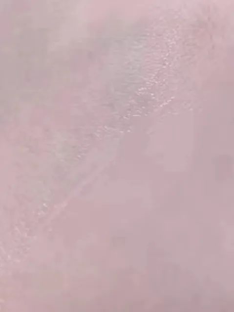 图源小红书@mushroom