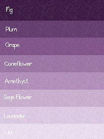 而且今年的春夏可不只流行一种紫色,从去年上榜的香芋紫到今年小露头