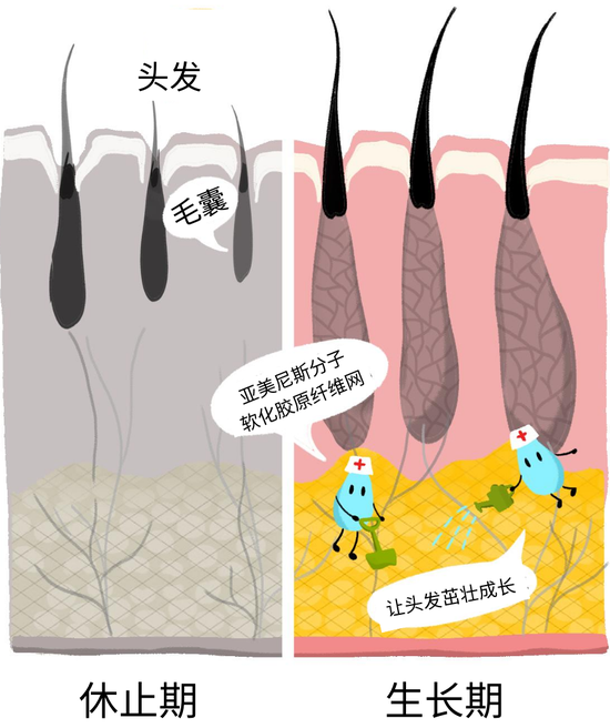 （图源官方，字体有修改）