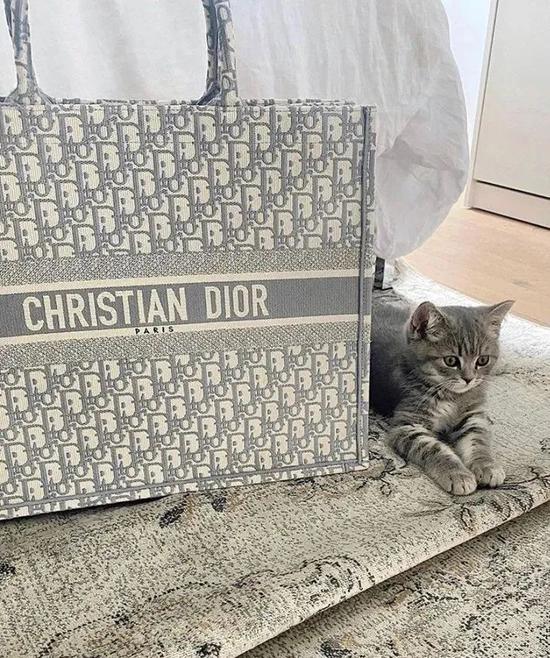 Dior Oblique刺绣Tote