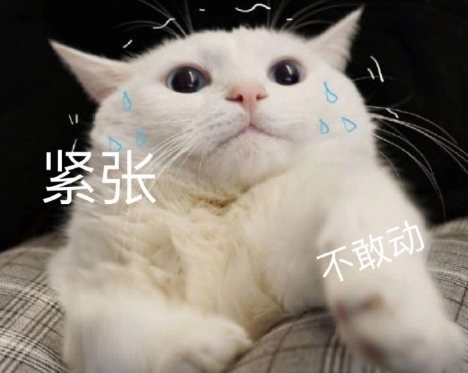 为妮写诗大结局比姐妹花cp更好磕的是这个