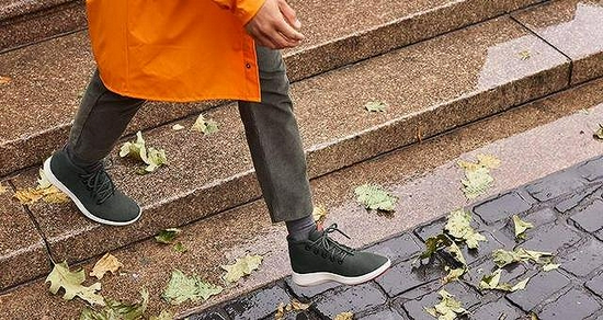 图片来源：Allbirds