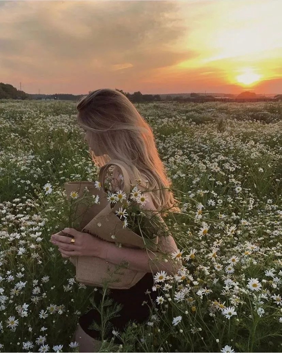 下周赏花去抱花少女刘诗诗的赏花照学好