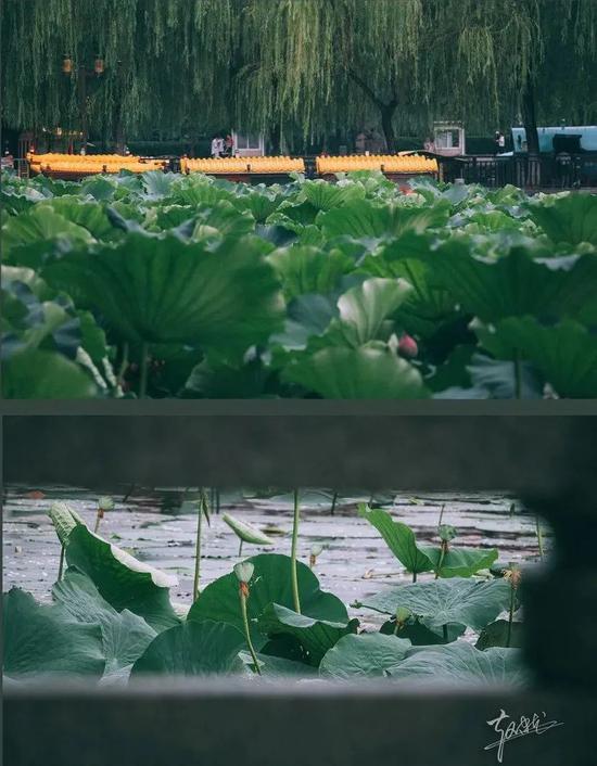 不输大连比肩西安 低调的济南安逸到不想离开