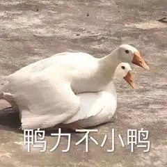 虞书欣除了声带模仿 还真实还原昆凌款“印第安纹”?