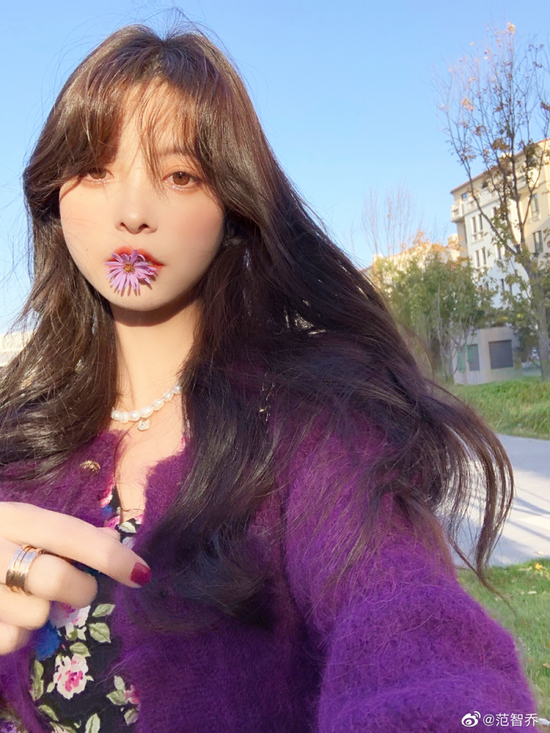 bet root anthocyanin