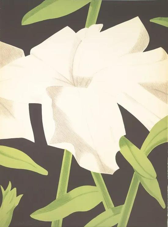 White Petunia， 1969