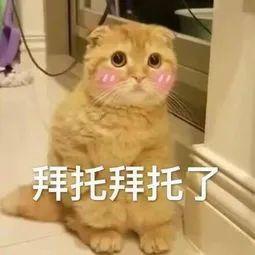 精华防晒粉底都搓泥?原来都是因为它