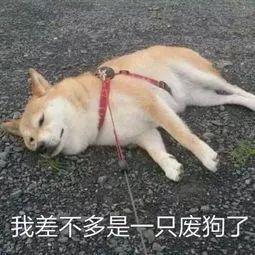 “浪姐”水墨画海报再好看 能有国风彩妆好看吗?