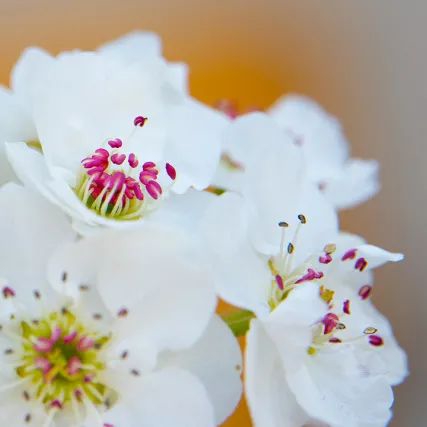 cr:视觉中国、官方