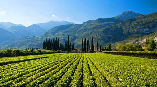 图片来源:fearrington