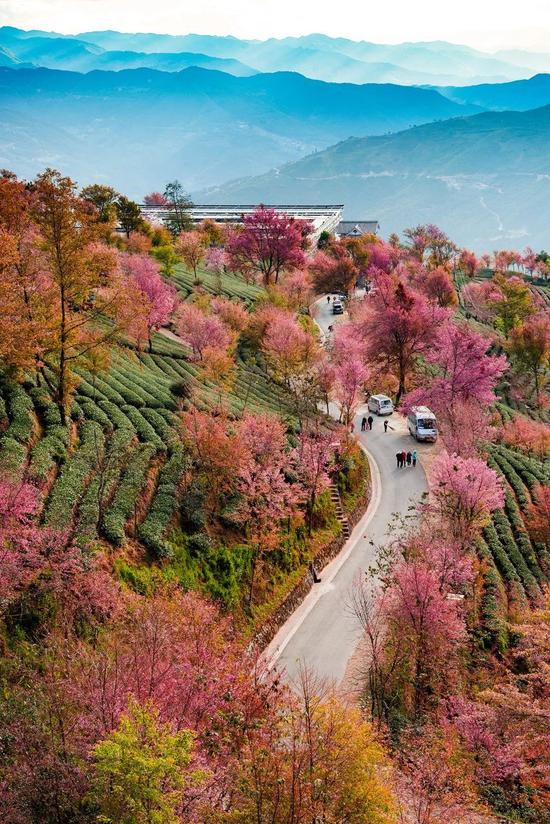 国内必去的60个美景地 去过16个就算旅行达人